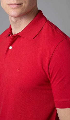 Polo Lisa Gola Retilínea